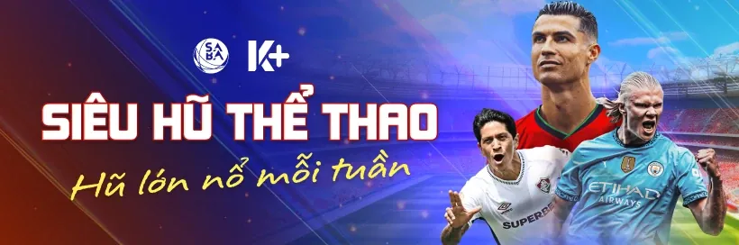 Giải đấu thể thao HL8